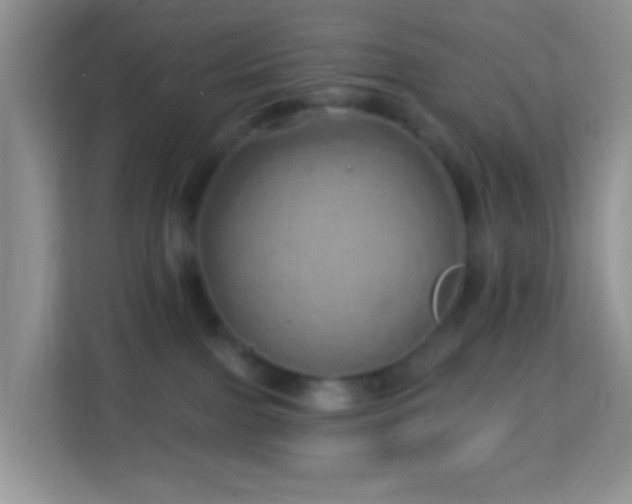 X0000114200091200910091301