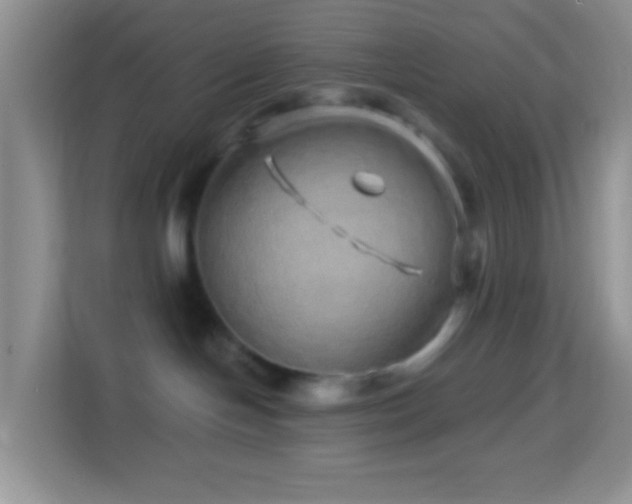 X0000114200094200910091301