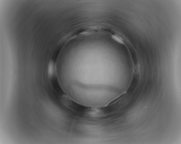 X0000114200095200910091301