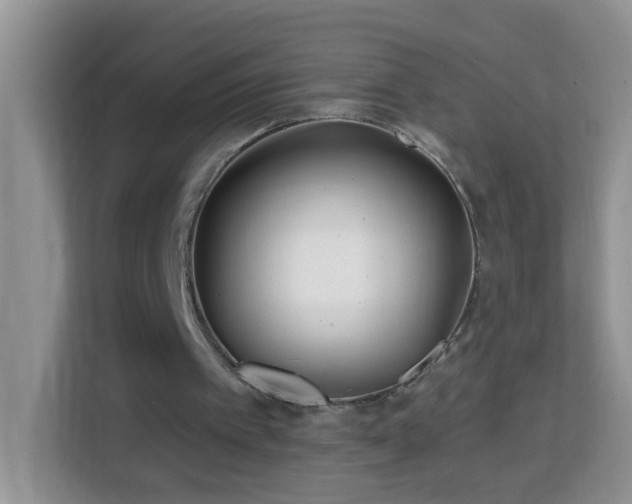 X0000114200097200910091301