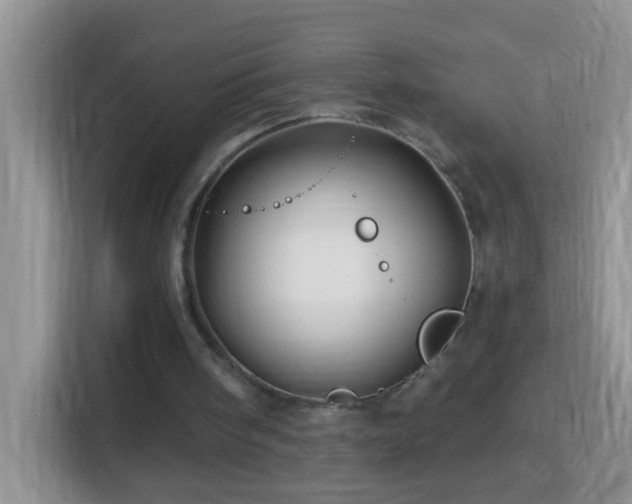 X0000114200098200910091301