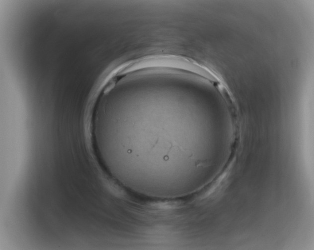 X0000114200103200910091301