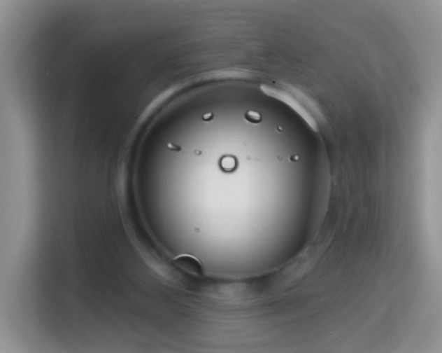 X0000114200108200910091301