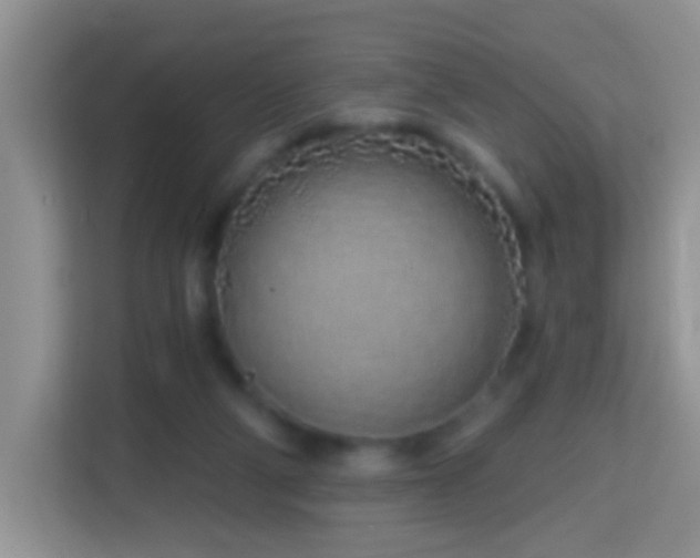 X0000114200114200910091300