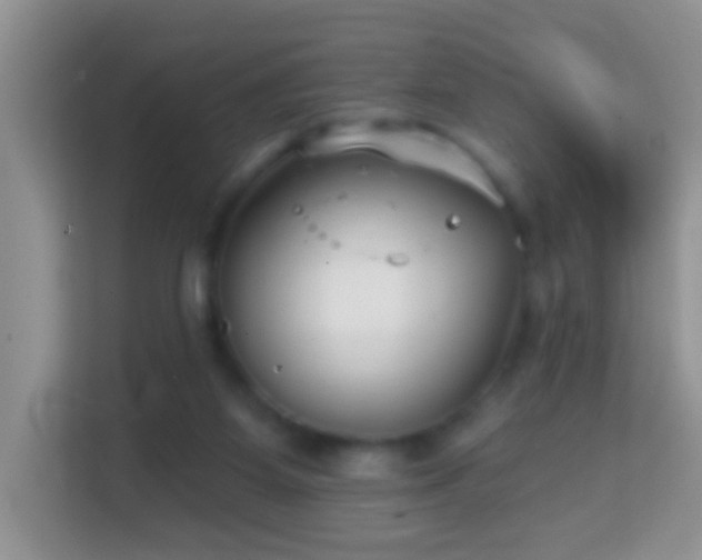 X0000114200115200910091300