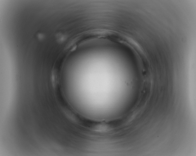 X0000114200119200910091300