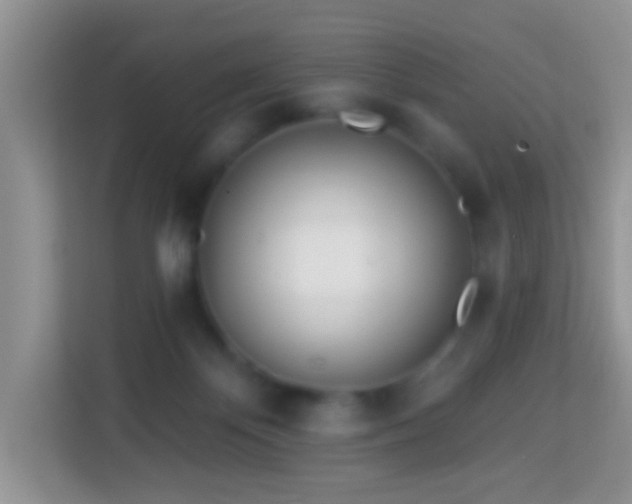X0000114200124200910091300