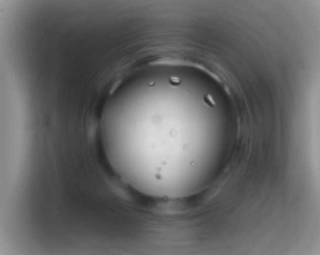 X0000114200125200910091300