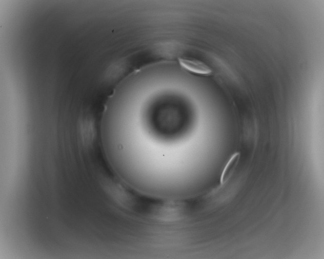 X0000114200128200910091300