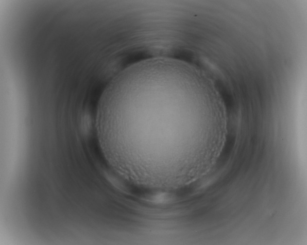 X0000114200130200910091300