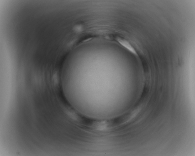 X0000114200131200910091300