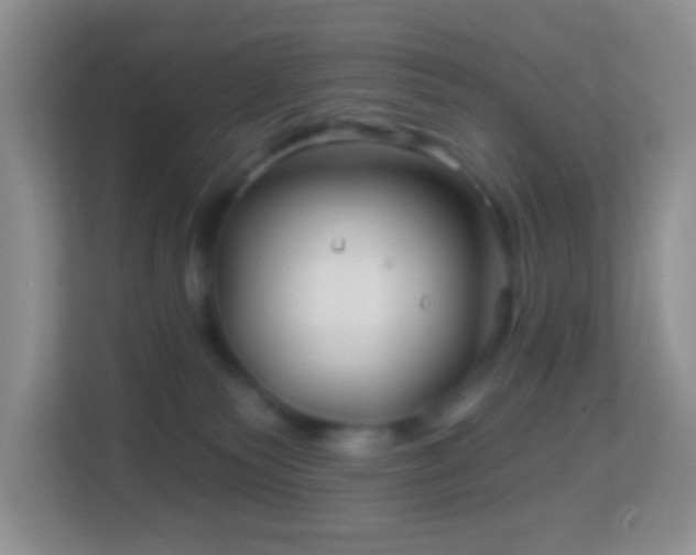 X0000114200135200910091300