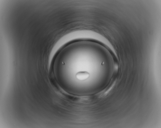 X0000114200136200910091300