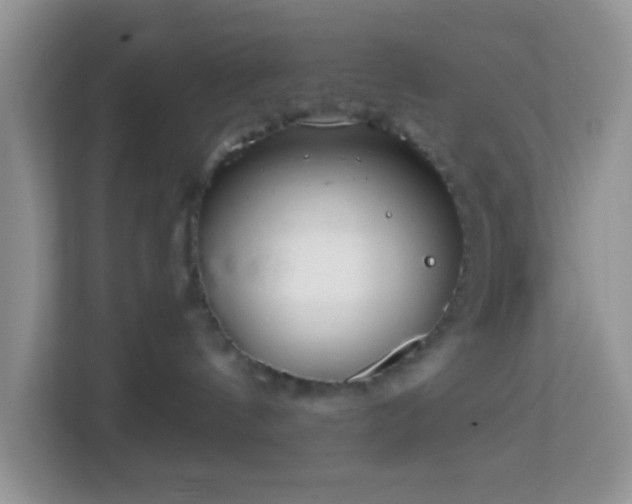 X0000114200144200910091300