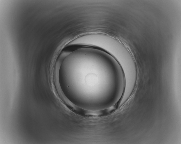 X0000114200145200910091259