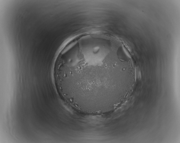 X0000114200147200910091259