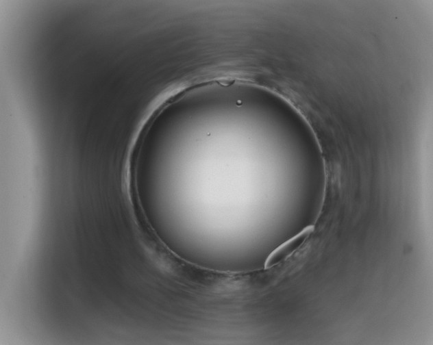 X0000114200148200910091259