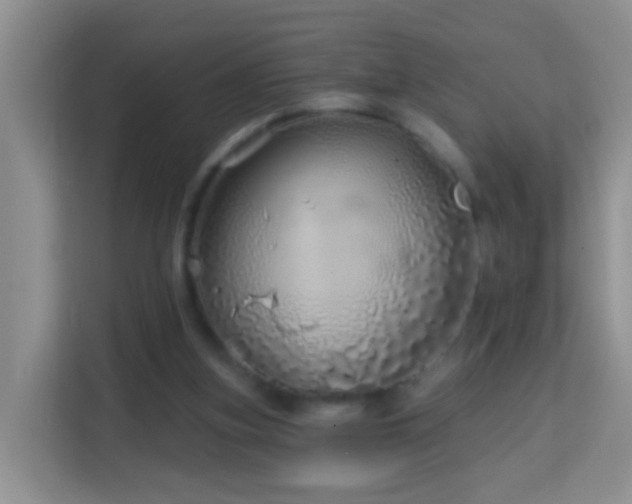 X0000114200155200910091300