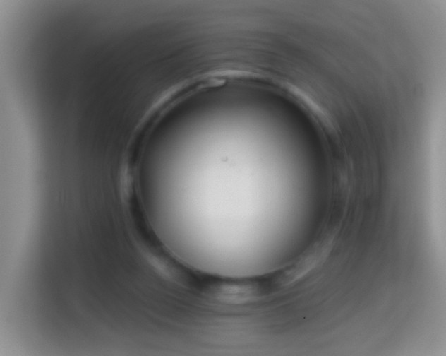 X0000114200160200910091300