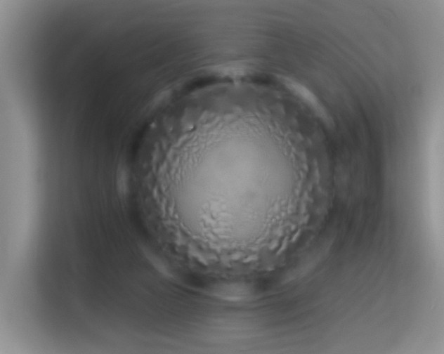 X0000114200161200910091300