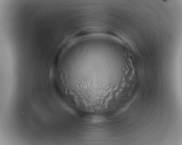 X0000114200165200910091300