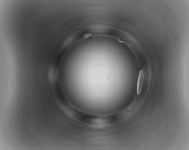 X0000114200168200910091300