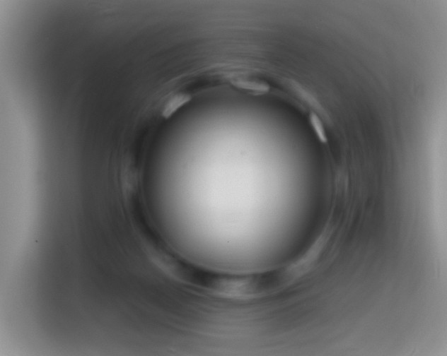 X0000114200170200910091300