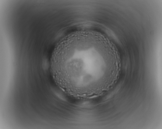 X0000114200173200910091300