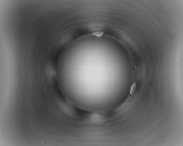 X0000114200176200910091300