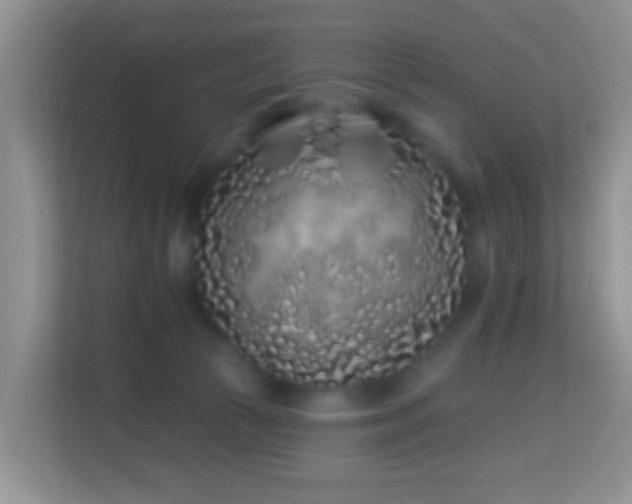 X0000114200177200910091300