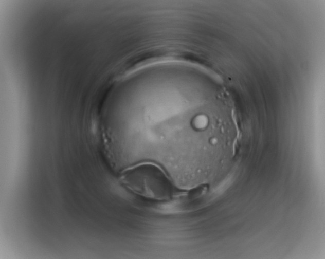 X0000114200178200910091300