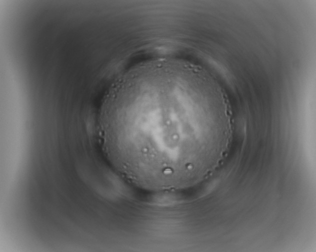 X0000114200181200910091300