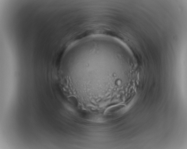 X0000114200182200910091300