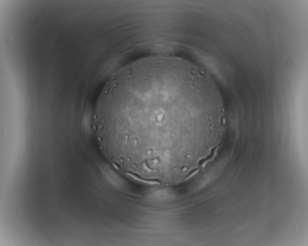 X0000114200185200910091300