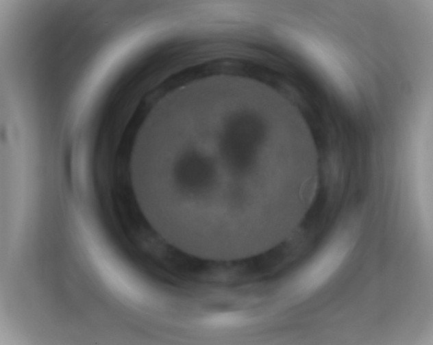 X0000114200189200910091300