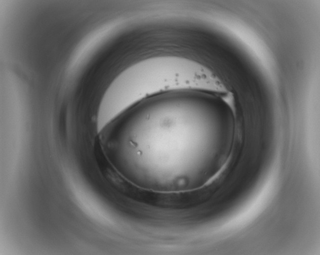 X0000114200190200910091300