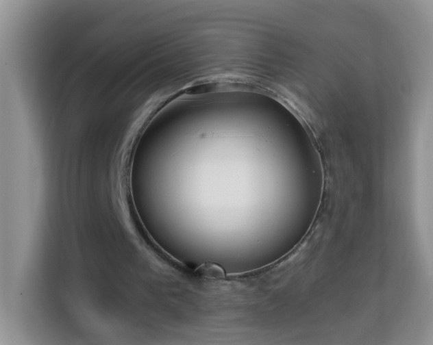 X0000114200193200910091259