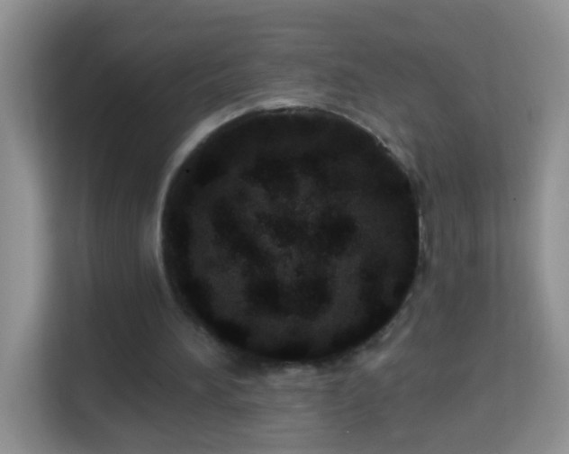 X0000114200196200910091259