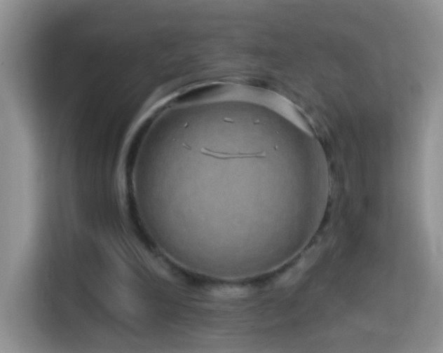 X0000114200198200910091259