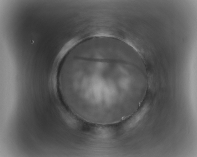 X0000114200199200910091259