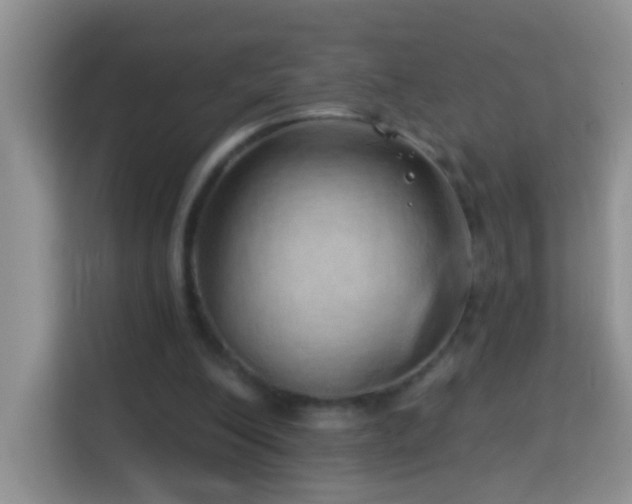 X0000114200200200910091259