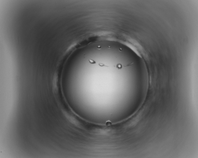 X0000114200201200910091259