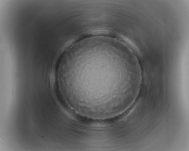 X0000114200202200910091259