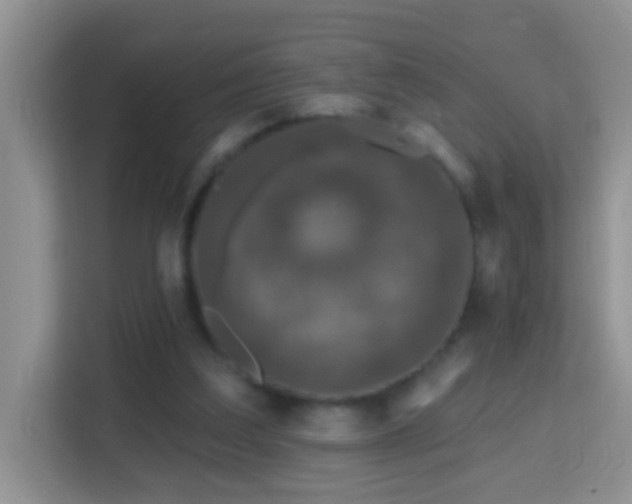 X0000114200203200910091259