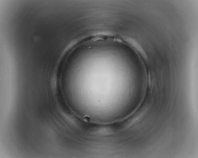 X0000114200204200910091259
