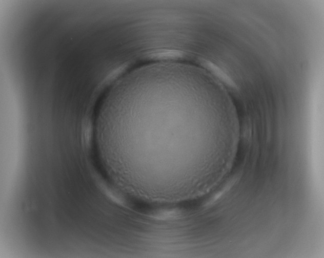 X0000114200206200910091259