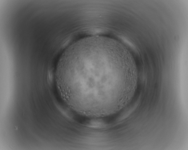 X0000114200214200910091259