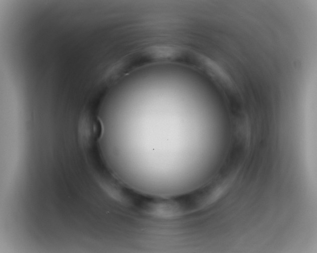 X0000114200215200910091259