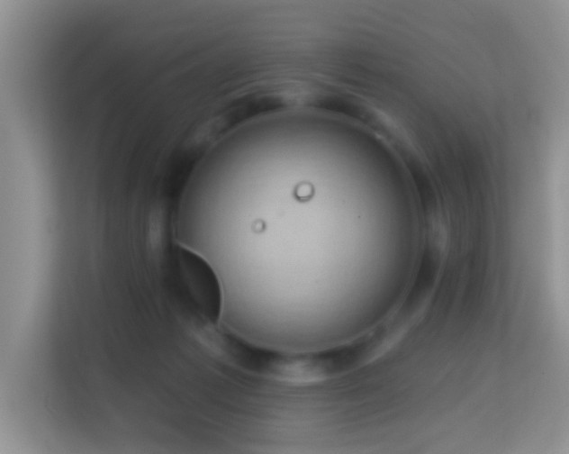 X0000114200221200910091259