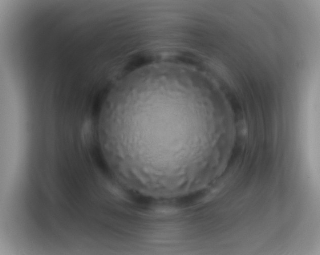 X0000114200222200910091259